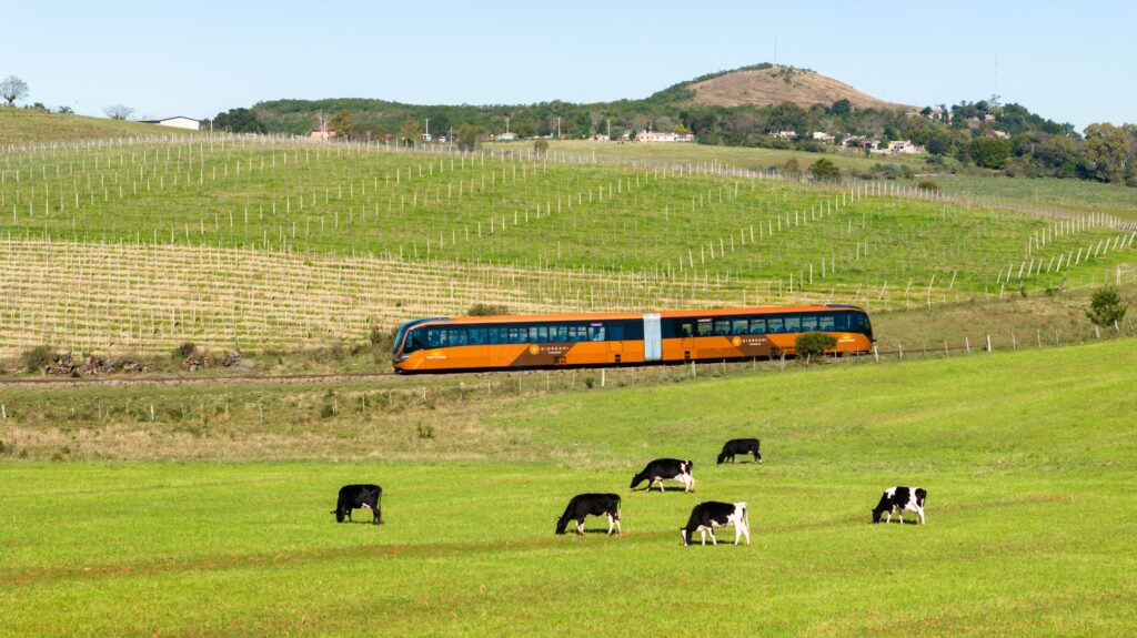 Trem do Pampa no Pampa--10